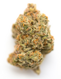 Cream Soda #26