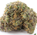 Sugar Haze