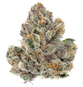Rainbow Sherbert